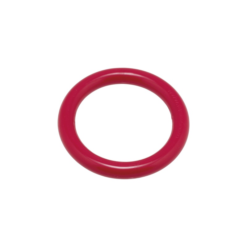 Swim Diving Ring